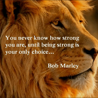 526482_10151453137862819_1699971070_n