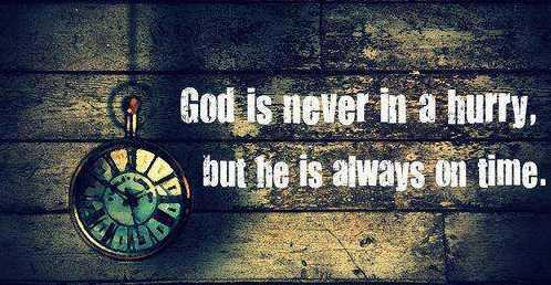 644683_10151896185913902_2060103655_n