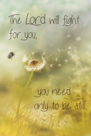 923446_10151917294543902_1917853275_n