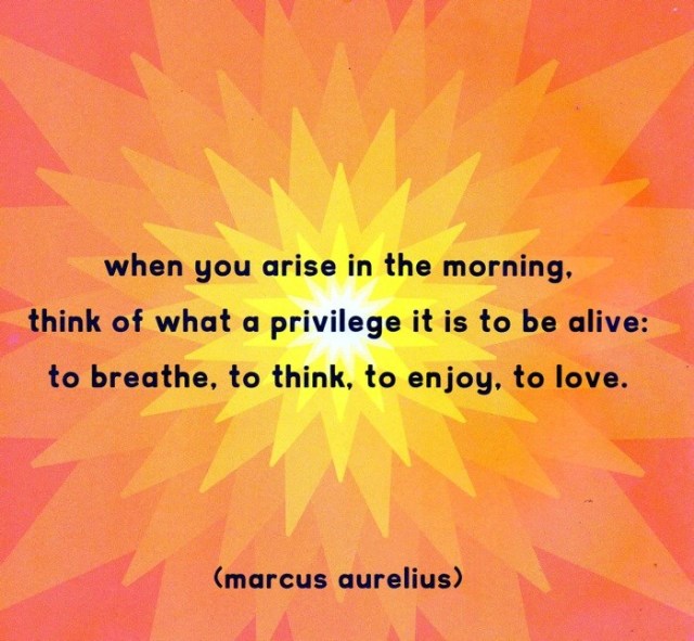 1174973_10151692835143842_335151609_n